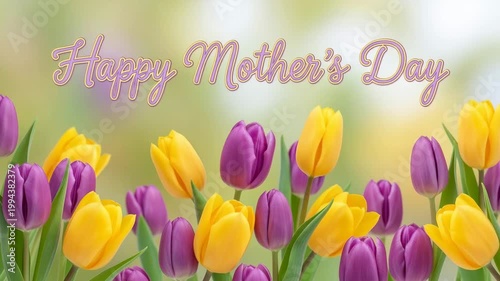 Happy mother's day banner with yellow and purple tulips in soft spring bokeh. elegant script text over floral background.