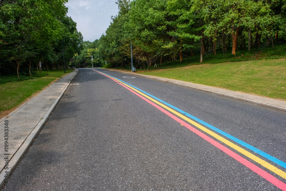 Fototapeta premium a rainbow lines painted on the asphalt, markings often serve as a visual guide for specific themed routes, such as fitness trails or scenic driving roads