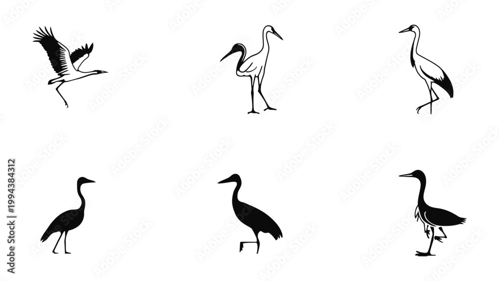 Fototapeta premium Graceful Crane Silhouettes: A curated collection of elegant crane silhouettes. They stand as a testament to nature's simplicity and the poetry of flight. 