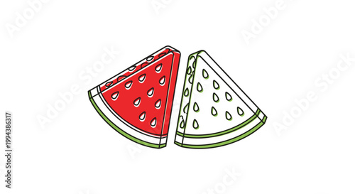 Illustration of two watermelon slices with one colored in red and one in outline style for summer fruit design.
