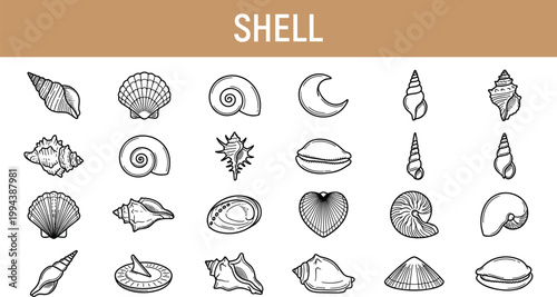 Seashell collection line icon set featuring marine shells, ocean elements, coastal nature symbols and decorative outline illustrations