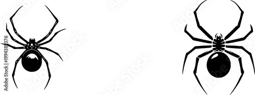 A solitary Black Widow spider with its distinctive red hourglass marking stands out against a pristine white background, exuding an air of mystery and intrigue