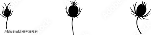 A solitary Nigella seed pod stands elegantly against a pristine white backdrop, its balloon-like shape and feathery horns capturing the essence of natures artistry in a monochromatic masterpiece