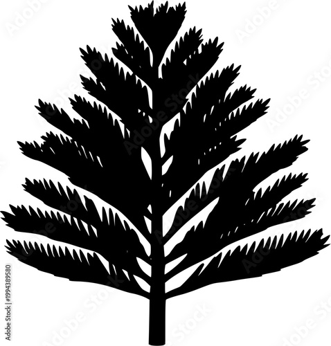 The solitary Wollemi Pine stands majestically against a pristine white backdrop, its unique bark texture and distinctive branching patterns making it an awe-inspiring sight in this pure white setting