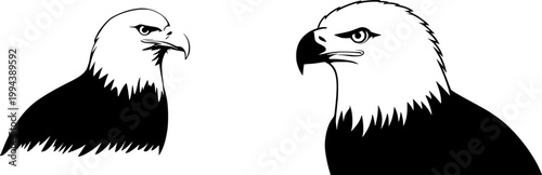 A striking photorealistic image of a solitary bald eagle with piercing eyes and a sharp beak, set against a pristine white backdrop, exudes an aura of majesty and solitude