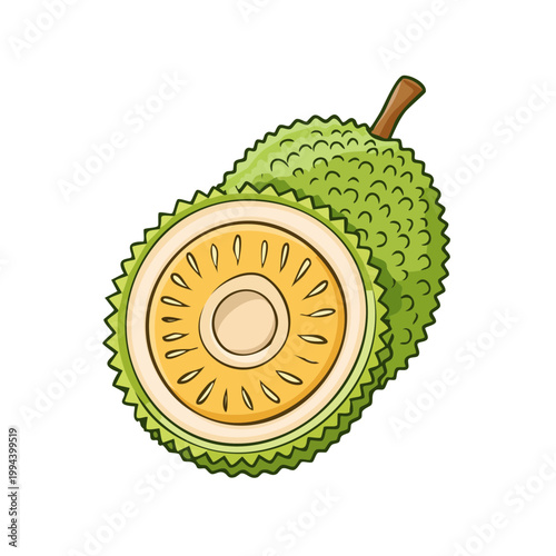 Cross-section of a ripe green jackfruit showing its fibrous flesh and seeds in a stylized illustration