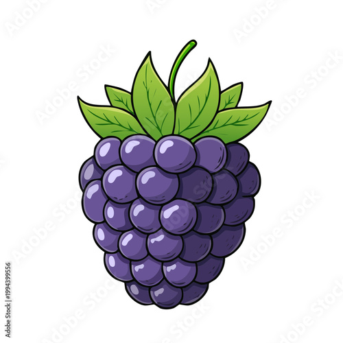 Stylized Illustration of a Ripe Purple Blackberry with Green Leaves