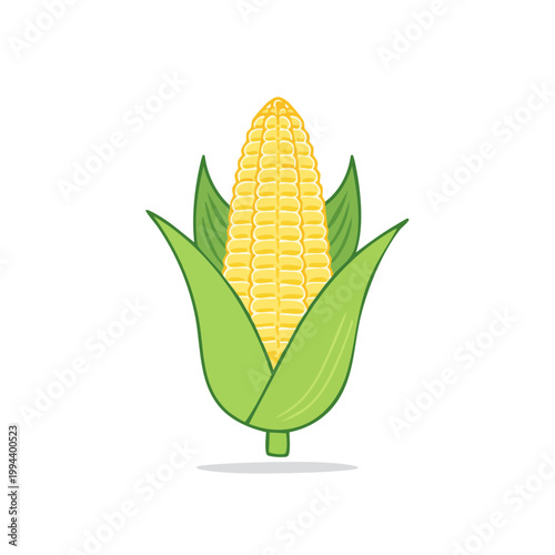 Healthy ear of fresh yellow corn with green husks illustration