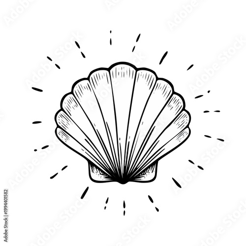 Stylized seashell illustration with radiating lines for a nautical or vintage feel