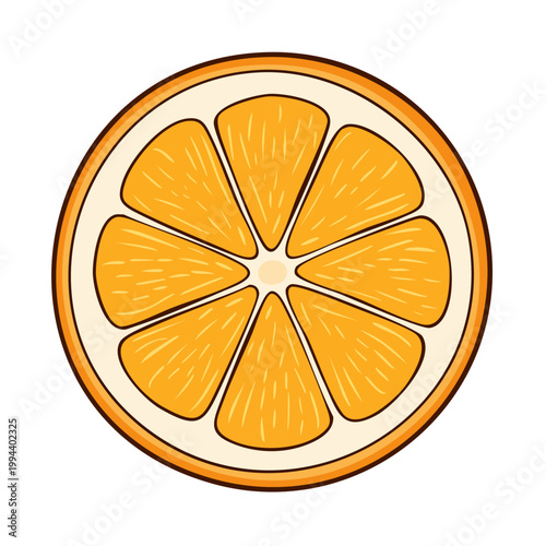 Vibrant Citrus Slice Illustration With Segments and Pulp Texture