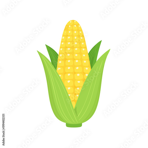 Bright yellow ear of corn with green leaves on white background harvest food agriculture concept