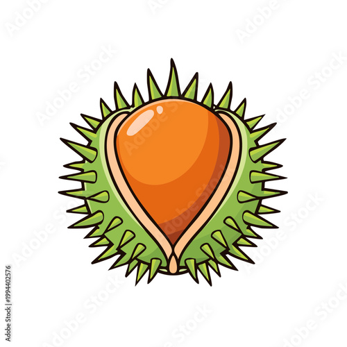 Illustrative image of a spiky green conker shell opening to reveal a shiny brown horse chestnut seed