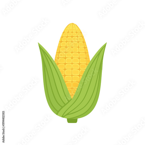 Bright Yellow Corn Cob with Green Leaves Simple Flat Illustration