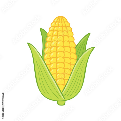Vibrant Yellow Corn Cob with Green Husks, a Fresh Harvest Staple