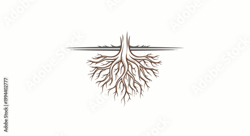 Intricate tree root system extends downwards from a stylized ground line