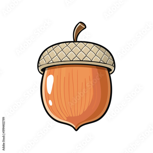 Cute cartoon acorn illustration with textured cap and smooth body