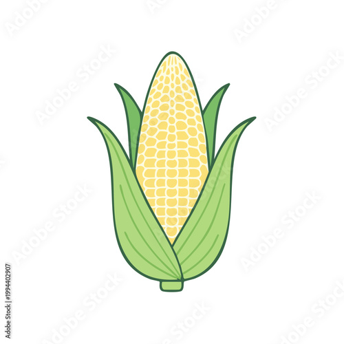 Fresh Corn Cob with Green Husks and Yellow Kernels