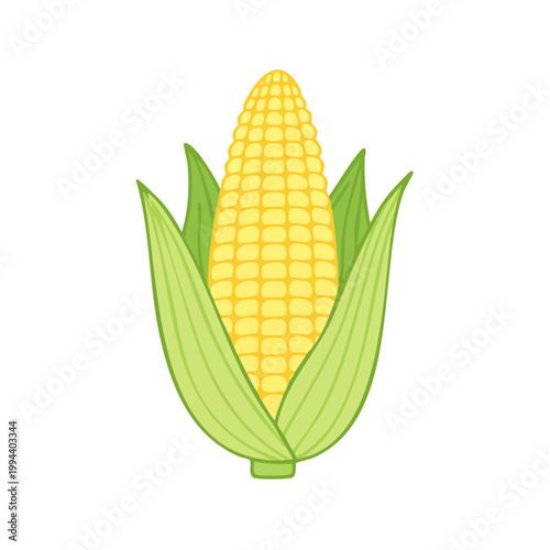 Fresh Yellow Corn Cob with Green Husks Illustration Isolated on White