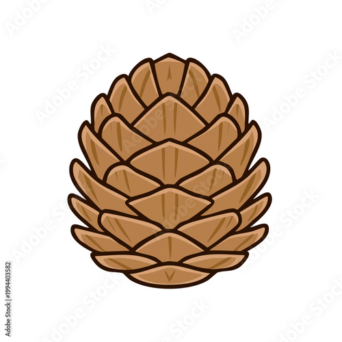 Illustration of a single brown pine cone with distinct scales and a textured surface