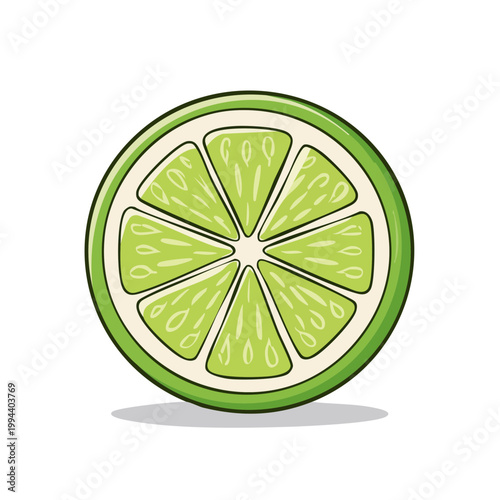 Vibrant lime fruit slice illustration with refreshing green segments and citrus zest details