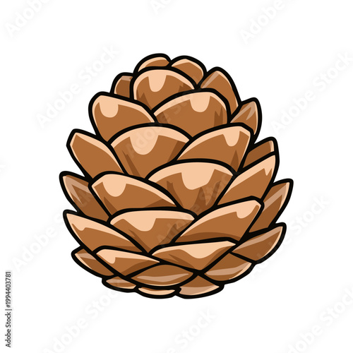 Isolated pinecone illustration featuring brown scales and a natural woody texture