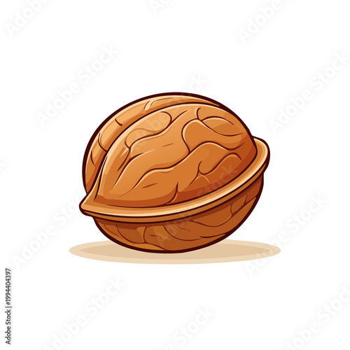 Vector illustration of a whole walnut nut with intricate texture