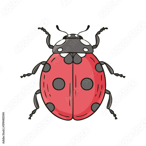 Cute cartoon ladybug with black spots on bright red wings and black head with antennae