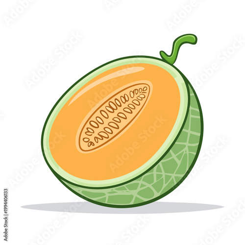 Fresh Cantaloupe Melon Cut in Half Showing Seeds and Orange Flesh