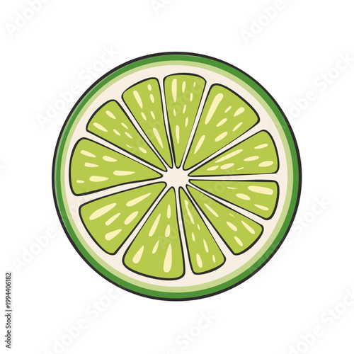 Vibrant Green Lime Slice Illustration With Juicy Segments and Zesty Peel