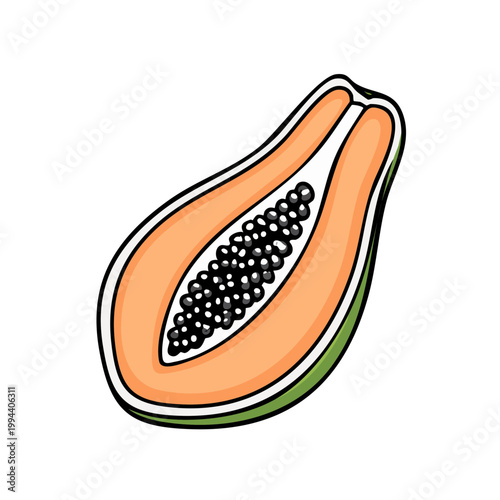 Half sliced ripe papaya fruit with black seeds and orange flesh tropical food illustration