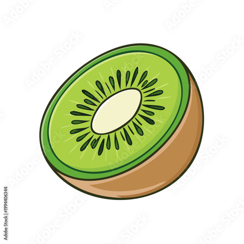 Fresh Kiwi Slice Illustration Healthy Tropical Fruit
