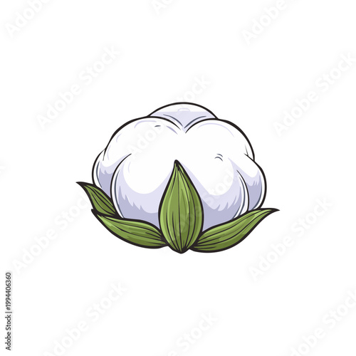 Hand Drawn Cotton Plant Flower with Green Leaves Isolated on White Background