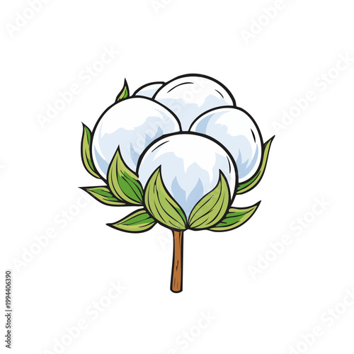 Hand-drawn illustration of a fluffy cotton boll with green leaves and brown stem