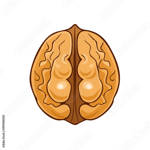 Close-up view of a halved walnut with detailed inner kernel texture and brown shell outline