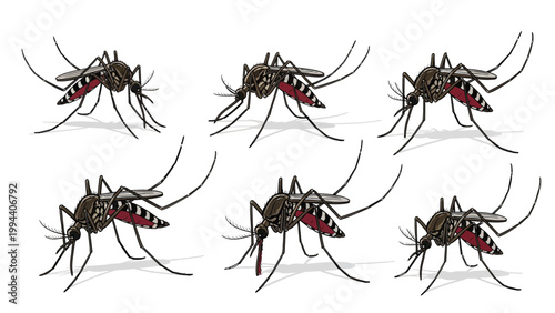 Multiple Mosquitoes Illustration A Detailed Close-Up View of These Annoying Insects