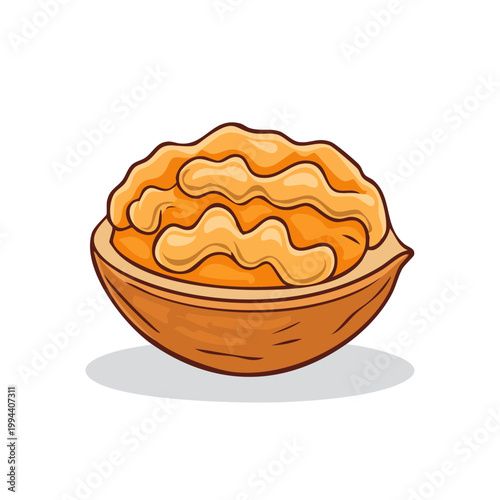 Healthy Walnut Half and Kernel Illustration