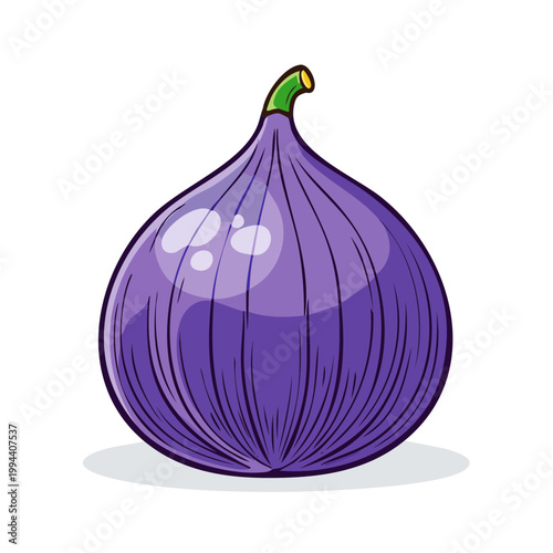 Vibrant purple fig illustration with green stem and detailed texture