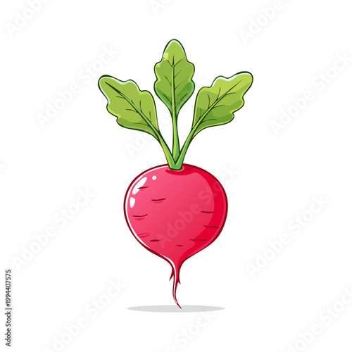 Vibrant Cartoon Radish with Green Leaves Illustration Isolated on White