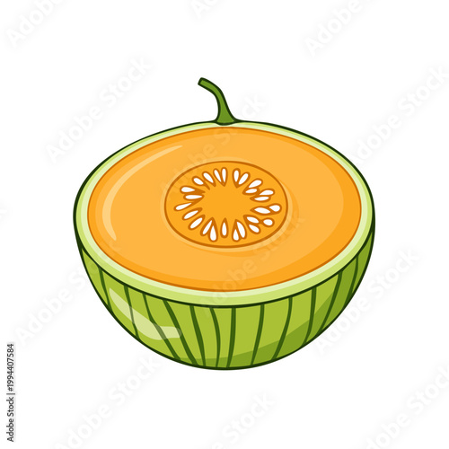 Half ripe cantaloupe melon with seeds and juicy flesh