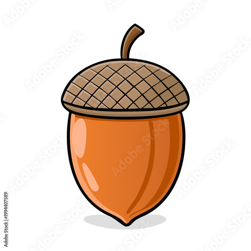 Cute cartoon acorn with textured cap and smooth orange body isolated on white background