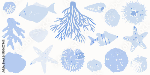 A collection of delicate blue toned illustrations of marine life and coral