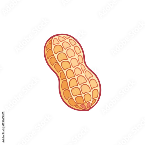 Hand drawn illustration of a single peanut with its shell intact and a textured surface.