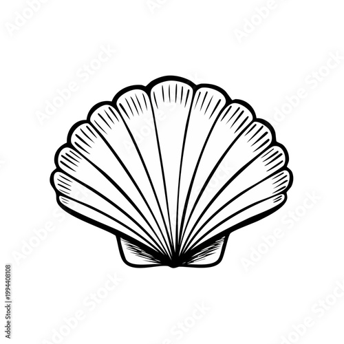 Black and white illustration of a detailed seashell with radiating lines
