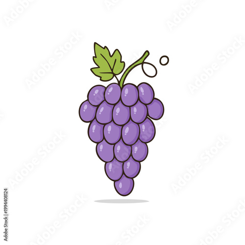 Vibrant illustration of a ripe bunch of purple grapes with a single green leaf and stem