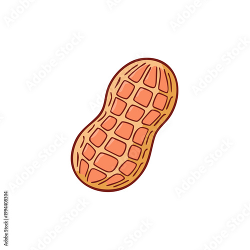Hand-drawn peanut illustration with textured shell detail