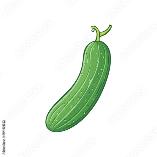 Fresh green cucumber with textured skin and a single stem detail