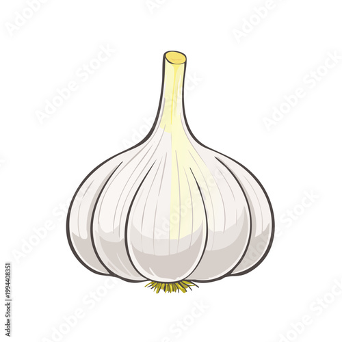 Hand Drawn Illustration of a Single Garlic Bulb with Green Stem and Yellow Accent