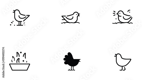 Bird icon collection: A curated collection of bird icons representing the essence of flight and freedom, ideal for design projects requiring an avian touch.