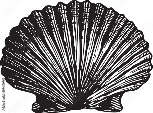 Vector black vintage engraved illustration isolated on a white background