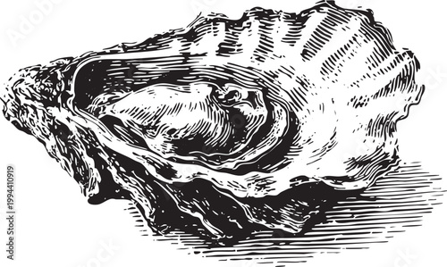 Vector black vintage engraved illustration isolated on a white background